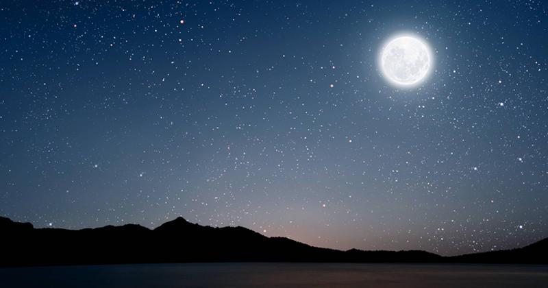 Every Companion Is a Star