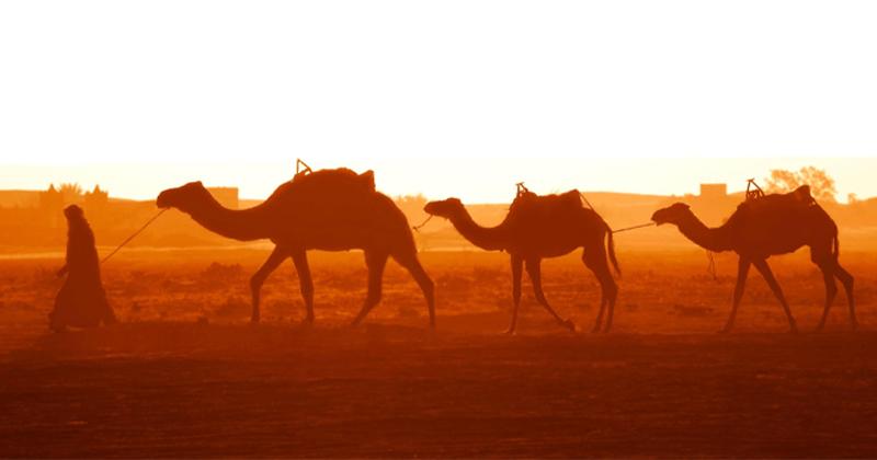 Adi ibn Hatim al-Ta’i [radiyallahu anh]