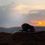 Sufyan al-Thawri [quddisa sirruhu]